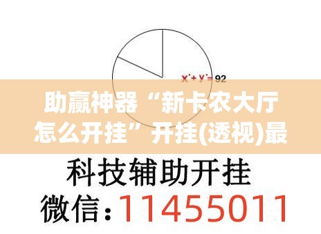 助赢神器“新卡农大厅怎么开挂”开挂(透视)最新辅助详细