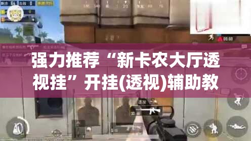 强力推荐“新卡农大厅透视挂”开挂(透视)辅助教程
