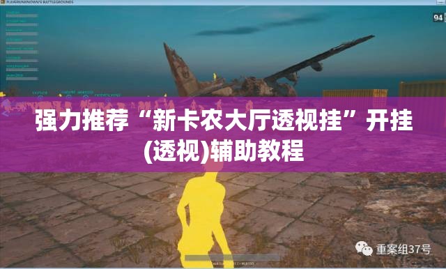 强力推荐“新卡农大厅透视挂”开挂(透视)辅助教程