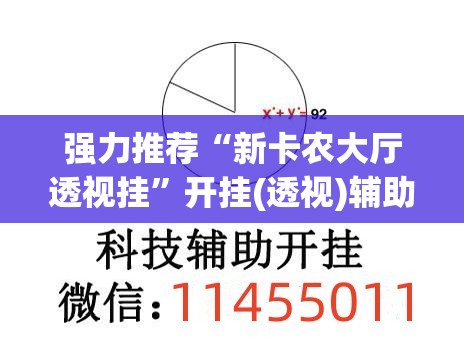 强力推荐“新卡农大厅透视挂”开挂(透视)辅助教程