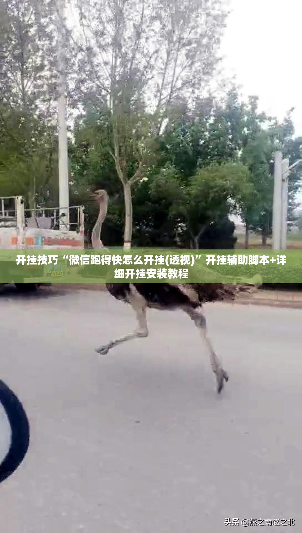 开挂技巧“微信跑得快怎么开挂(透视)	”开挂辅助脚本+详细开挂安装教程