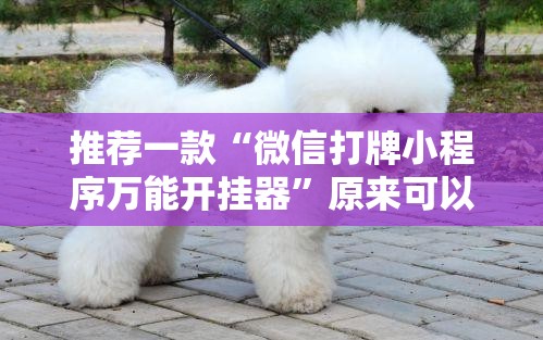 推荐一款“微信打牌小程序万能开挂器	”原来可以开挂