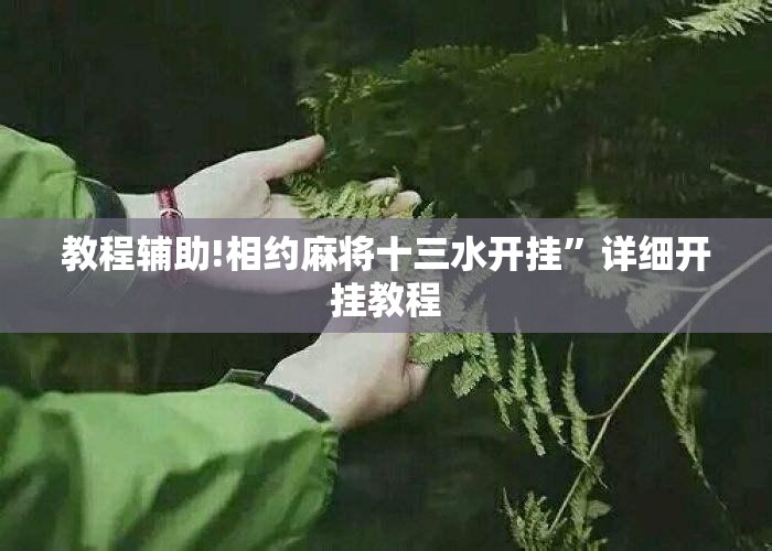 教程辅助!相约麻将十三水开挂”详细开挂教程