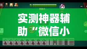 实测神器辅助“微信小程序微乐天津麻将怎么开挂”详细开挂教程