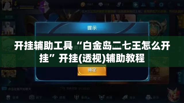 开挂辅助工具“白金岛二七王怎么开挂”开挂(透视)辅助教程