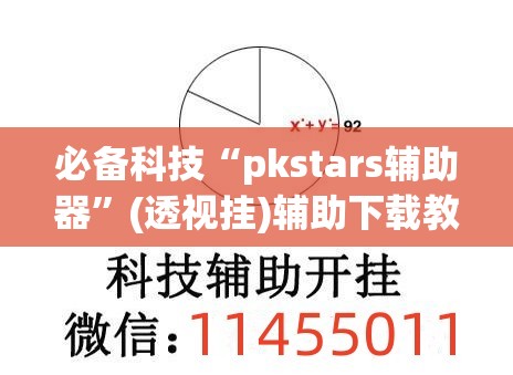 必备科技“pkstars辅助器”(透视挂)辅助下载教程