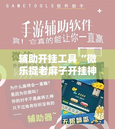 辅助开挂工具“微乐捉老麻子开挂神器”详细开挂教程