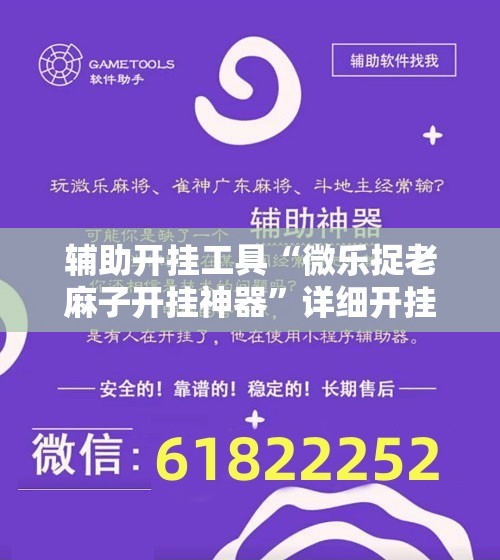 辅助开挂工具“微乐捉老麻子开挂神器”详细开挂教程