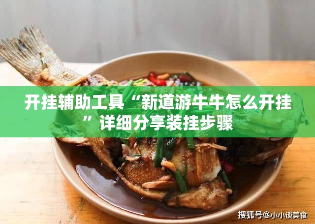 开挂辅助工具“新道游牛牛怎么开挂”详细分享装挂步骤