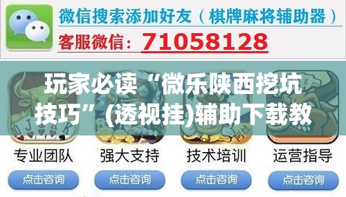 玩家必读“微乐陕西挖坑技巧”(透视挂)辅助下载教程