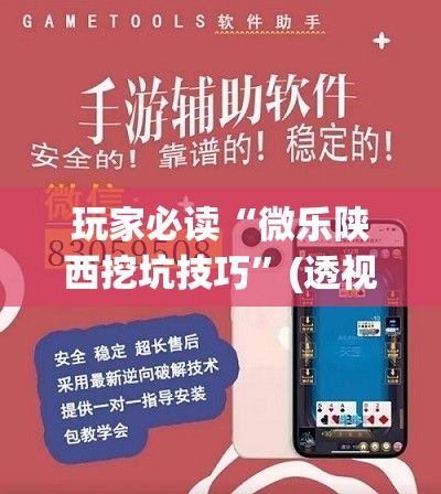 玩家必读“微乐陕西挖坑技巧”(透视挂)辅助下载教程