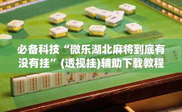 必备科技“微乐湖北麻将到底有没有挂	”(透视挂)辅助下载教程