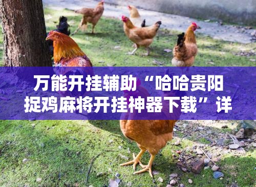 万能开挂辅助“哈哈贵阳捉鸡麻将开挂神器下载	”详细分享装挂步骤