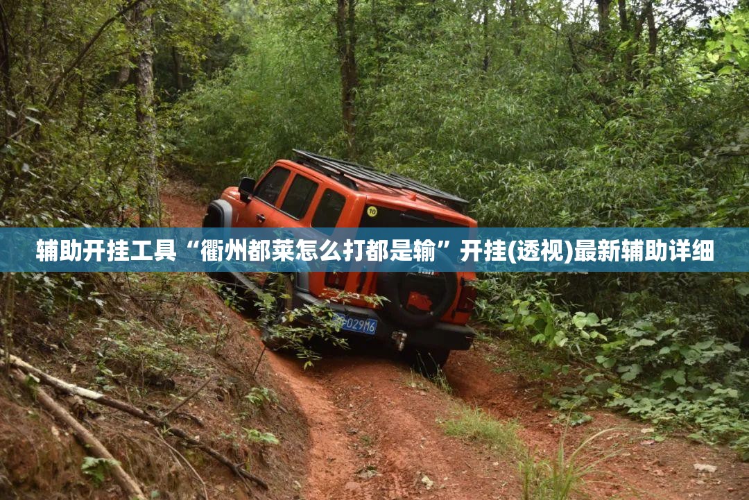 辅助开挂工具“衢州都莱怎么打都是输”开挂(透视)最新辅助详细