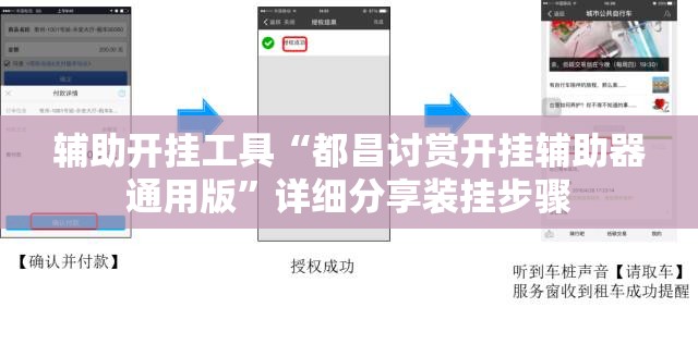 辅助开挂工具“都昌讨赏开挂辅助器通用版	”详细分享装挂步骤