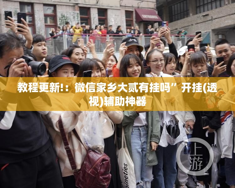 教程更新!：微信家乡大贰有挂吗”开挂(透视)辅助神器