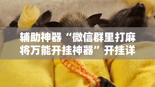 辅助神器“微信群里打麻将万能开挂神器”开挂详细教程