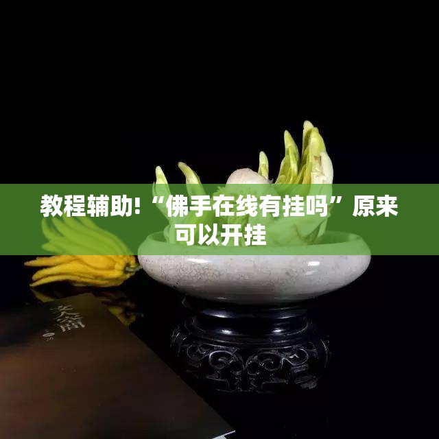 教程辅助!“佛手在线有挂吗”原来可以开挂