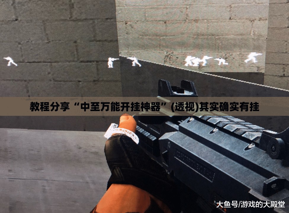 教程分享“中至万能开挂神器”(透视)其实确实有挂