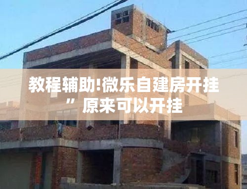 教程辅助!微乐自建房开挂	”原来可以开挂