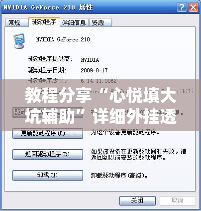 教程分享“心悦填大坑辅助	”详细外挂透视辅助软件教程