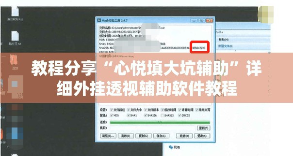 教程分享“心悦填大坑辅助”详细外挂透视辅助软件教程