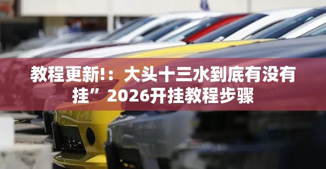 教程更新!：大头十三水到底有没有挂	”2026开挂教程步骤