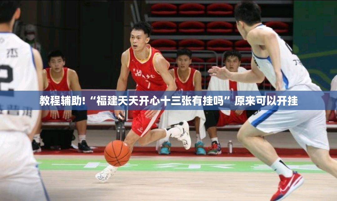 教程辅助!“福建天天开心十三张有挂吗”原来可以开挂