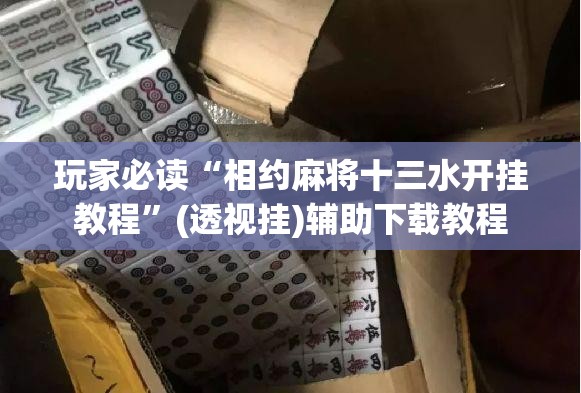 玩家必读“相约麻将十三水开挂教程”(透视挂)辅助下载教程