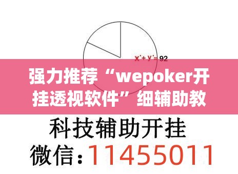 强力推荐“wepoker开挂透视软件”细辅助教程分享