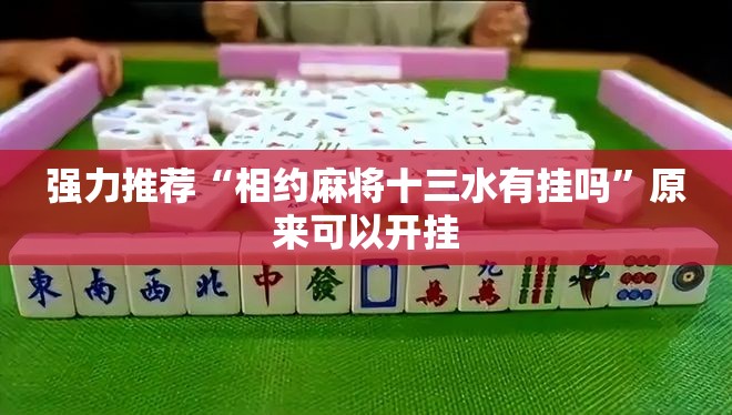 强力推荐“相约麻将十三水有挂吗”原来可以开挂