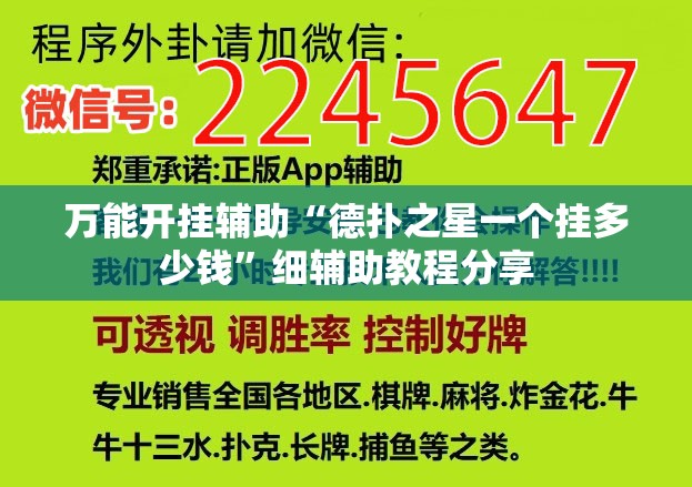 万能开挂辅助“德扑之星一个挂多少钱”细辅助教程分享