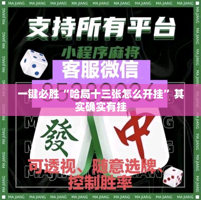 一键必胜“哈局十三张怎么开挂”其实确实有挂