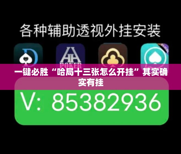一键必胜“哈局十三张怎么开挂”其实确实有挂