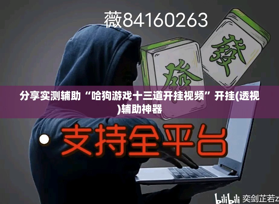 分享实测辅助“哈狗游戏十三道开挂视频”开挂(透视)辅助神器