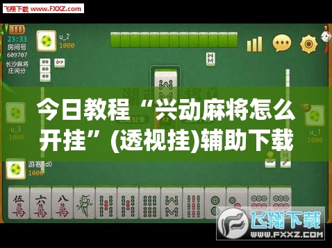 今日教程“兴动麻将怎么开挂”(透视挂)辅助下载教程