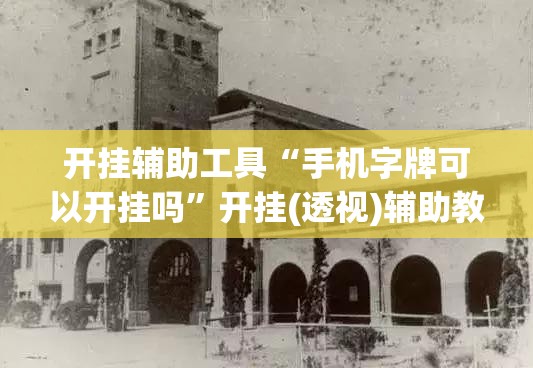开挂辅助工具“手机字牌可以开挂吗”开挂(透视)辅助教程