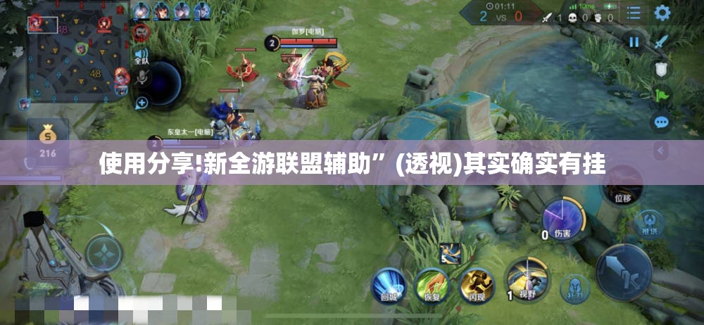 使用分享!新全游联盟辅助	”(透视)其实确实有挂