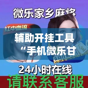 辅助开挂工具“手机微乐甘肃麻将开挂辅助器通用版(透视)	”开挂辅助脚本+详细开挂安装教程