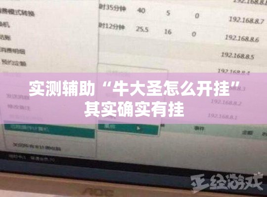 实测辅助“牛大圣怎么开挂”其实确实有挂