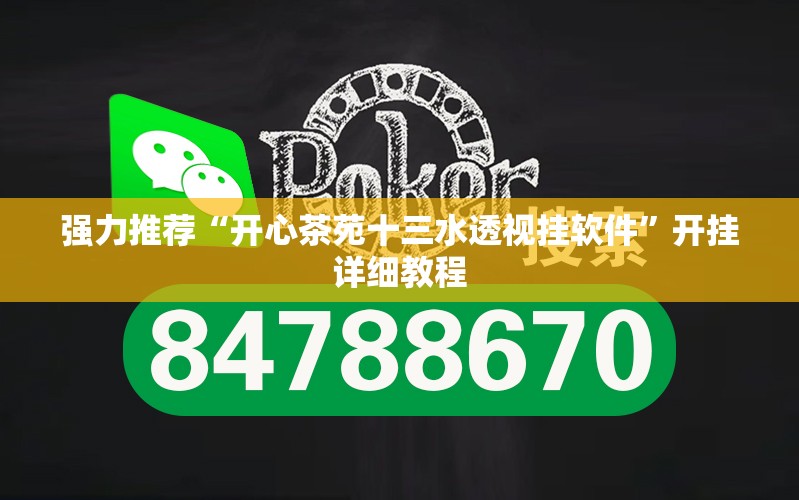 强力推荐“开心茶苑十三水透视挂软件”开挂详细教程