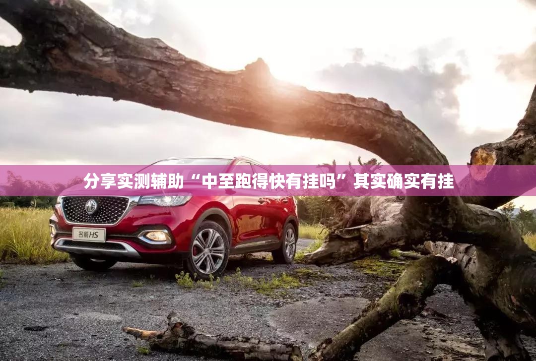 分享实测辅助“中至跑得快有挂吗	”其实确实有挂