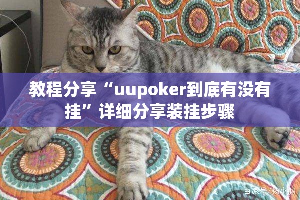 教程分享“uupoker到底有没有挂”详细分享装挂步骤
