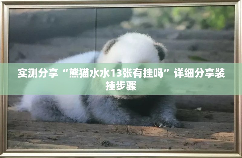 实测分享“熊猫水水13张有挂吗”详细分享装挂步骤
