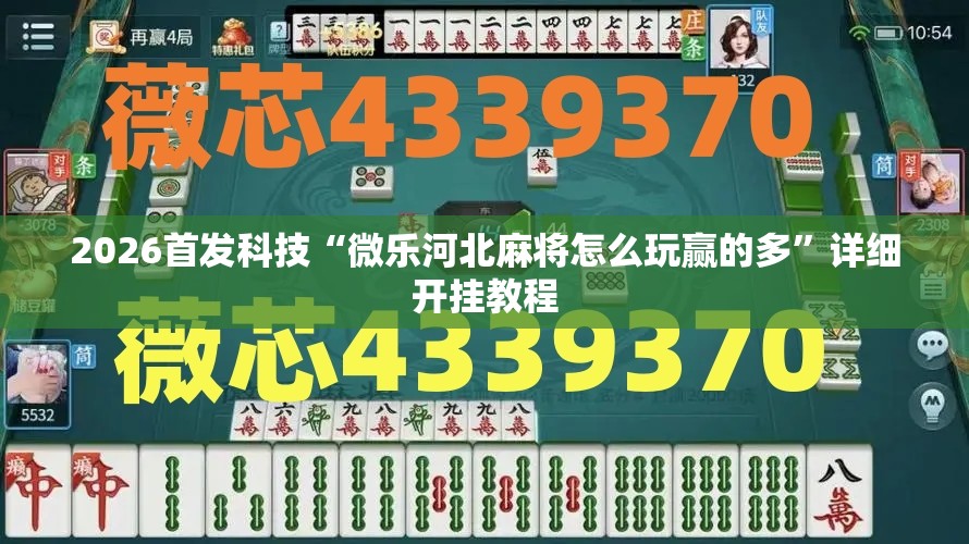 2026首发科技“微乐河北麻将怎么玩赢的多	”详细开挂教程