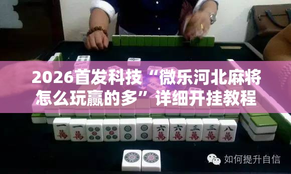 2026首发科技“微乐河北麻将怎么玩赢的多”详细开挂教程