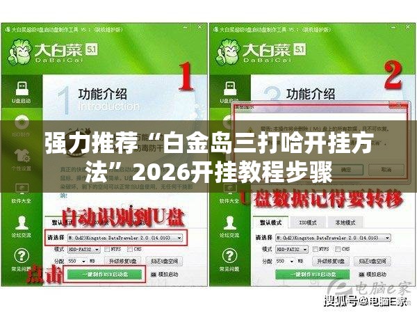强力推荐“白金岛三打哈开挂方法”2026开挂教程步骤