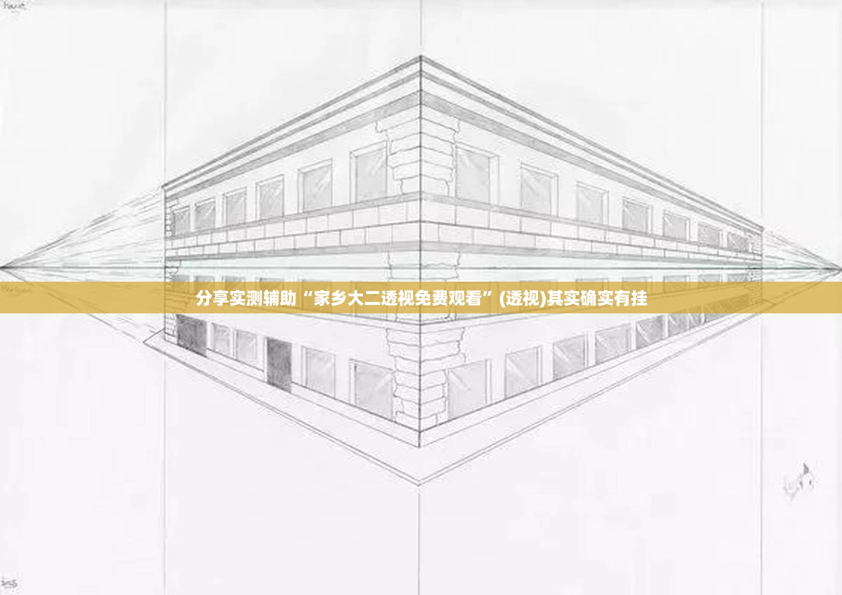 分享实测辅助“家乡大二透视免费观看”(透视)其实确实有挂