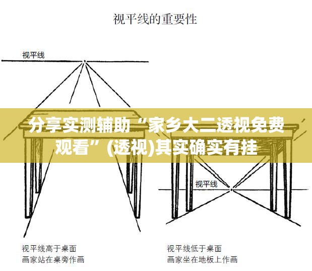 分享实测辅助“家乡大二透视免费观看”(透视)其实确实有挂