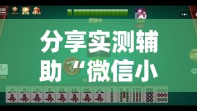 分享实测辅助“微信小程序微乐跑得快到底有没有挂”详细开挂教程